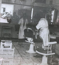 Barberia Gibertoni